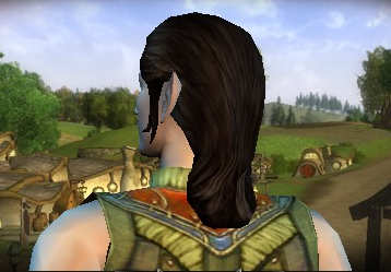 elf male Hair Style Screenshot