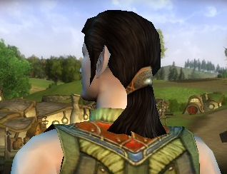 elf male Hair Style Screenshot