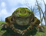 Ribbit