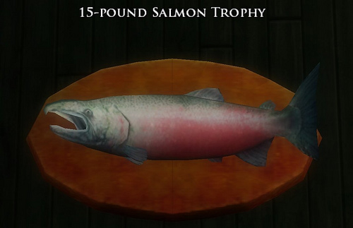 Book 13 - 15 pound salmon trophy