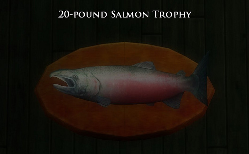 Book 13 - 20 pound salmon trophy