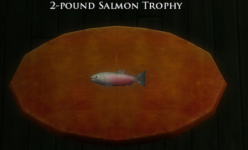 Book 13 - 2 pound salmon trophy
