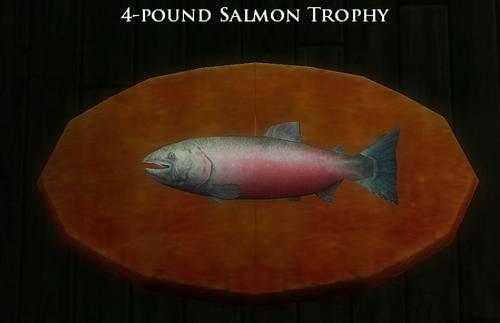Book 13 - 4 pound salmon trophy