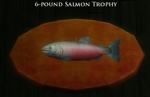 Book 13 - 6 pound salmon trophy