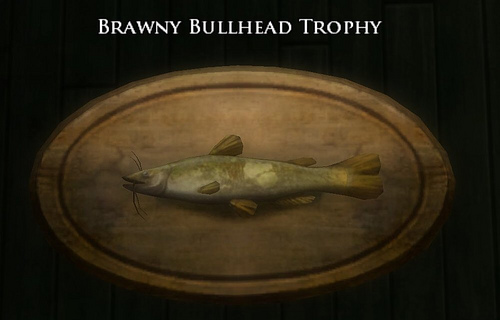 Book 13 - Brawny bullhead trophy