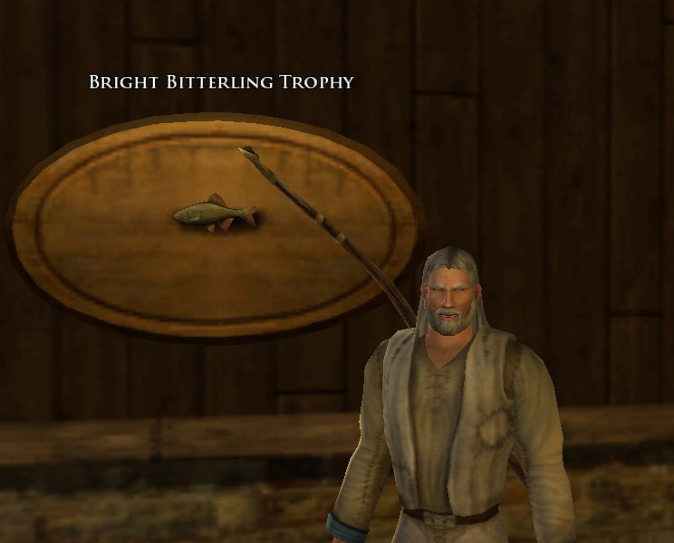 Book 13 - Bright bitterling trophy