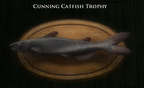 Book 13 - Cunning catfish trophy