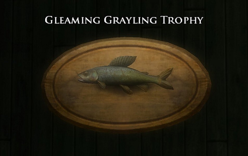 Book 13 - Gleaming grayling trophy