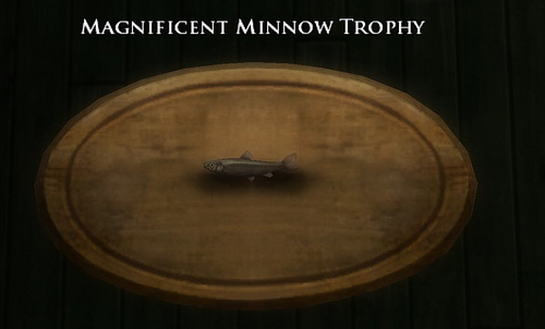 Book 13 - Magnificent minnow trophy