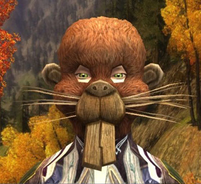 Fall festival - Bree town beaver mask