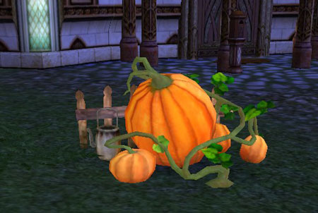 Fall festival - Giant pumpkin