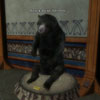 Click here for Black Bear Trophy Screenshot