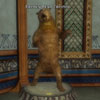 Click here for Brown Bear Trophy Screenshot