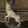 Click here for White Wolf Trophy Screenshot