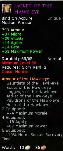 Hunter hawk eye - Jacket of the hawk eye