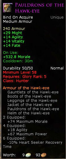 Hunter hawk eye - Pauldrons of the hawk eye