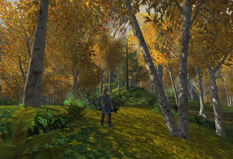 Lothlorien - Lothlorien landscape 7