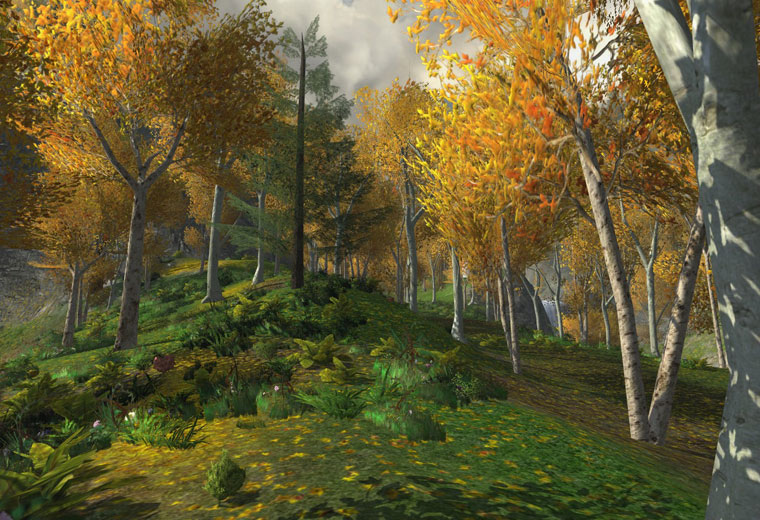 Lothlorien - Lothlorien landscape 8