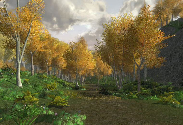 Lothlorien - Lothlorien landscape 9