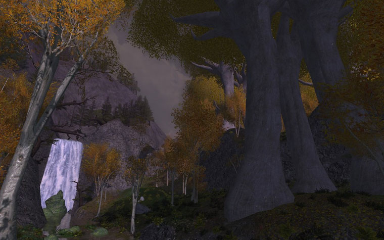 Lothlorien - Lothlorien mallorn trees