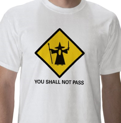 Lotro tshirts - You shall not pass