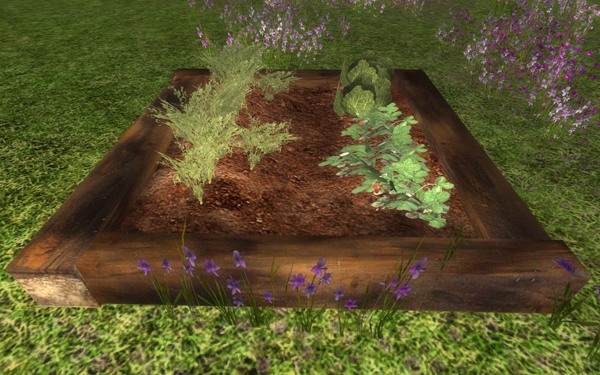 Summer festival - Herb garden