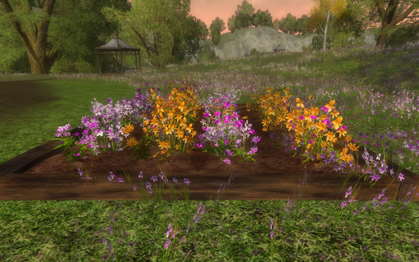 Summer festival - Large flowerbed