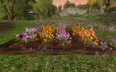 Large flowerbed