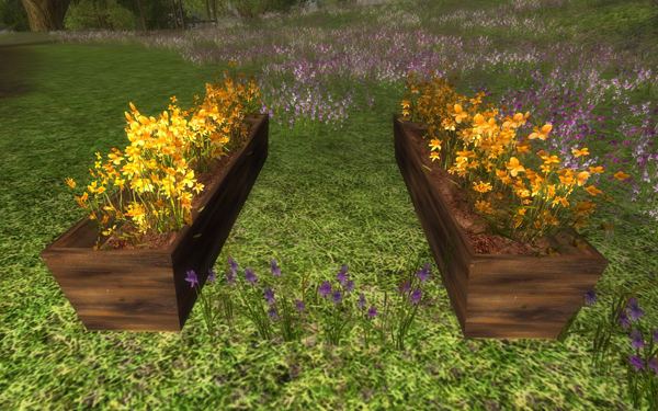 Summer festival - Orange flower box