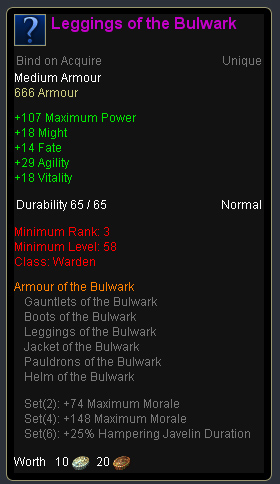 Warden bulwark - Leggings of the bulwark