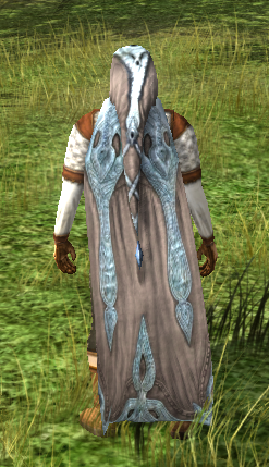 Hooded Cloak Of The Windsinger