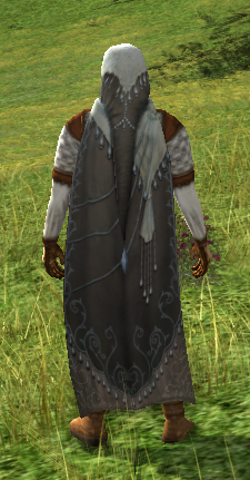 Hooded Elflords Cloak